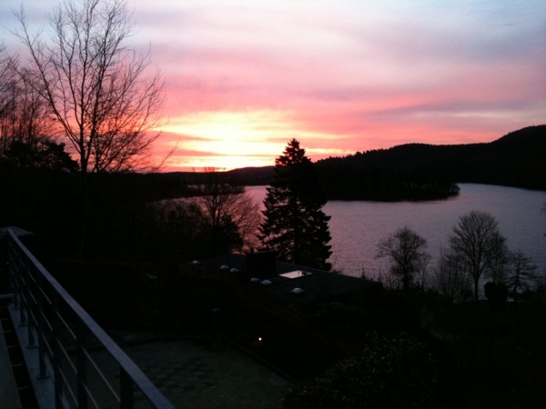 Natur i Vesterlund