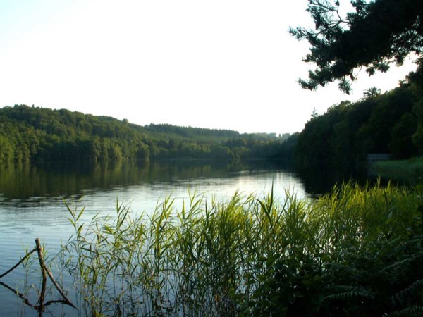 Natur i Vesterlund