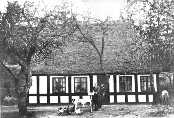 Sommerhus i Vesterlund